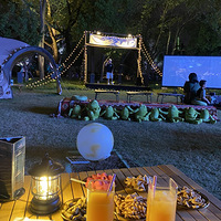 �����׼�¶Ӫ�ư�