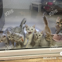 �г�����������������