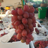 �Լ�ũ��ɢ����������ˮ����Ե�С��顭��