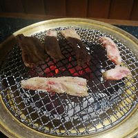 ��9����ʳ�ֲݡ���ʢ