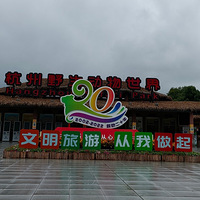 涯԰飡