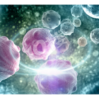 �������ϻ��ƣ����˿���ҽԺ�����ΰ����ڻ�������֮��