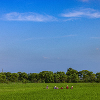 �Ӱ������ƻ裬�Ӻ������������������ľ��ס����ã�