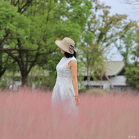 һ��һ�Ȼ����ƣ����������˲�ͬ������ݺ���