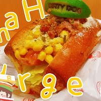 ��ʮ����ʳ�ֲݡ����ȹ�