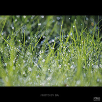 ��峿������