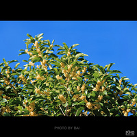 ����������Ũ�����ǹ��㡱