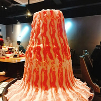 ʮʳֲݡʢţ