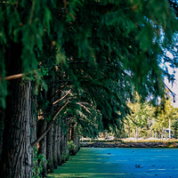 ���˰桰��ɽ����