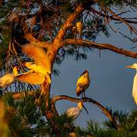 �����q��