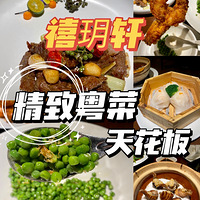 11ʳֲݡ˲
