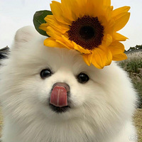 ϲգĲݣÿĻõĶ
