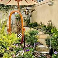 ��2����ʳ�ֲݡ�����������������������ڼ��˵�������