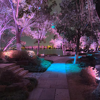 �����ɫ���ջ�.....