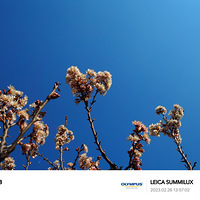 �ϱ������