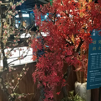 ��3����ʳ�ֲݡ���ʢ����