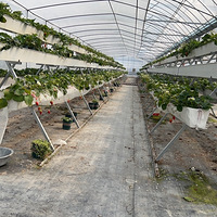 �����޳Ժ����֡��߼ܲ�ݮ��ʮɫС���Ѳ�ժ