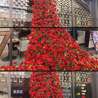 ��������ʳ�ֲݡ�������õ�廨�ٲ�����ҵ��Ƕ������ģ�