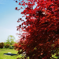 ����������-�ν�ɽ���������������