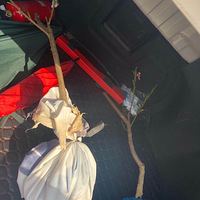 ����3�꣬������...