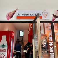 Gelato��ʽ����ܣ����ֹ������