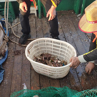 ��5����ʳ�ֲݡ�ȥ���߳����ʴ��������ĺ���