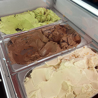 ��5����ʳ�ֲݡ������Ҫ�Ա���ܣ���