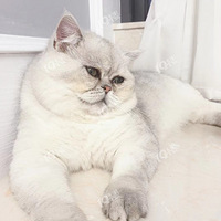è������