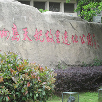 ϣţ