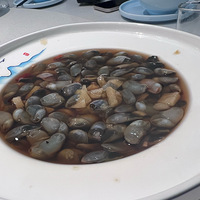 ��5����ʳ�ֲݡ�Ѧ��ǧ�ҵ���Ϻζ��Ҳ�ܲ�����