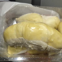 �������ұ��˲����ײȿӵ�������