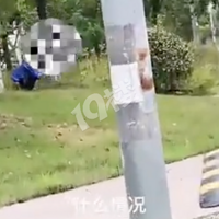 ���۾���ƽ������¶���㡰�߷�����Ŀ���ߣ��������������ˡ�