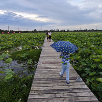 ���������������������˼�