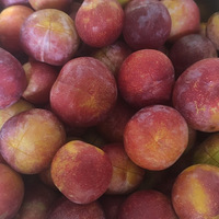 �óԺúȵ����š�