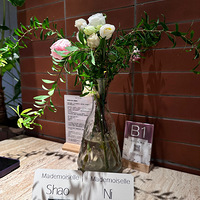 ��7����ʳ�ֲݡ��Ϻ����RIION����