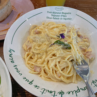 ��̫�����������ˣ�