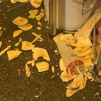 ��������糵·ҹ�� ���ֹ��������ǽ壡������ÿ��Ҫ����2������