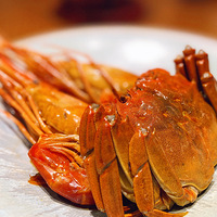 ��̽�µ꡿��Ϫ���¿��������˲���ֵ���Ƽ�