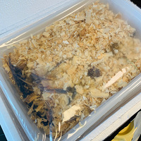 ������з�������ˣ�