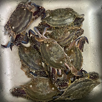 ������ա�����ĵ�һ������з�������������շ���