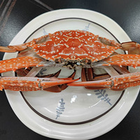 С�ܲ��ţ�ֻ�ܳԺȵ� ��㶫����