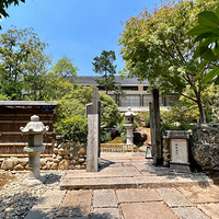 ���Ǿ��޵���ʳ����