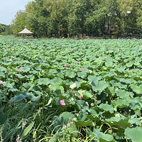 һ�ұ���С����Ժȿ����ͺɻ���