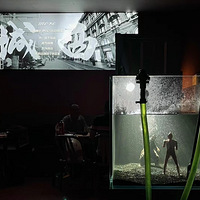 �������ŵ�������ζ���������ԣ�