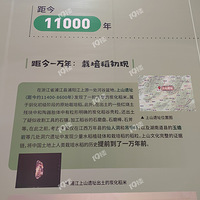 ����������Ļ������