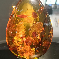 �������격���