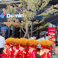 ��̽�µ꡿���Ϻ���ش�����