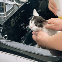 �Ը񳬺õ�6���´���ţèѰһ��ůС��~