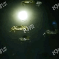 ����һ���з�����ˣ����г����ĵط����У��ö��˶�ץ���ˣ�