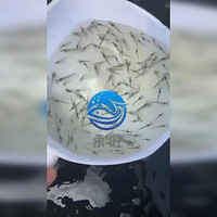 ˮ̫���ˣ��������Ϻ���ɡ����󡱣������ϰ�ɹ���0%��